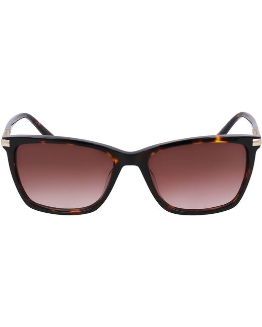 DKNY Brown Modified Rectangle Sunglasses