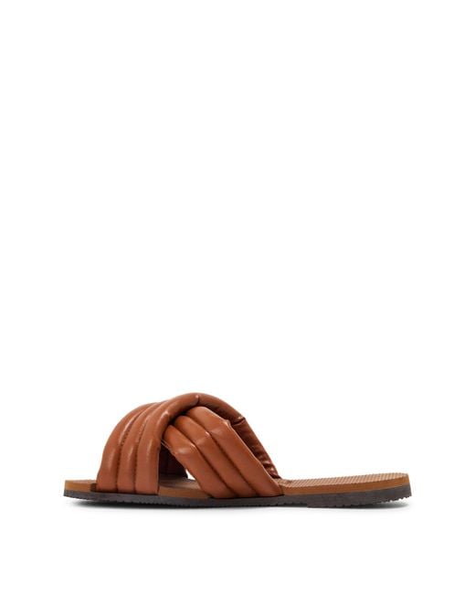 Havaianas Brown Flip Flops