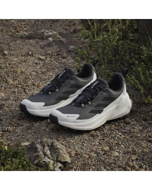 Adidas Blue Terrex Trailmaker 2 Gore-Tex Hiking Shoes for men