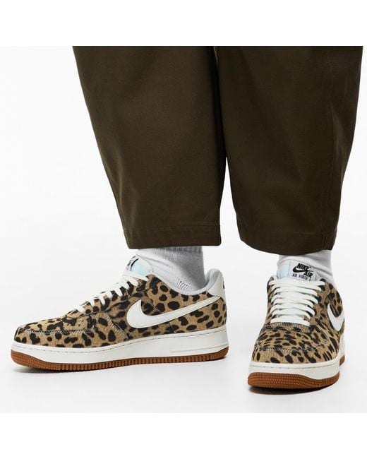 Nike Brown Low-Top Trainers