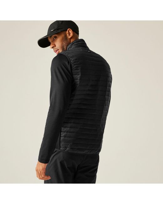 Regatta Black Andreson Hybrid Water-Repellent Bodywarmer for men