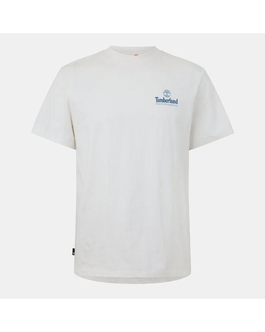 Timberland Gray Logo Graphic T-Shirt for men