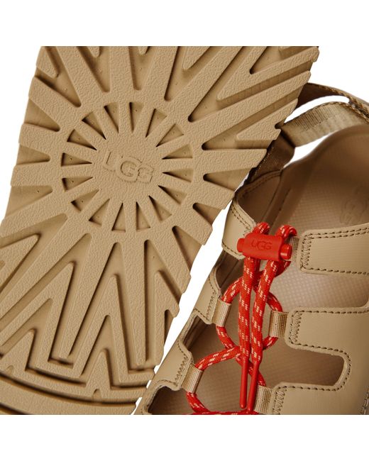 Ugg Brown Flat Sandals