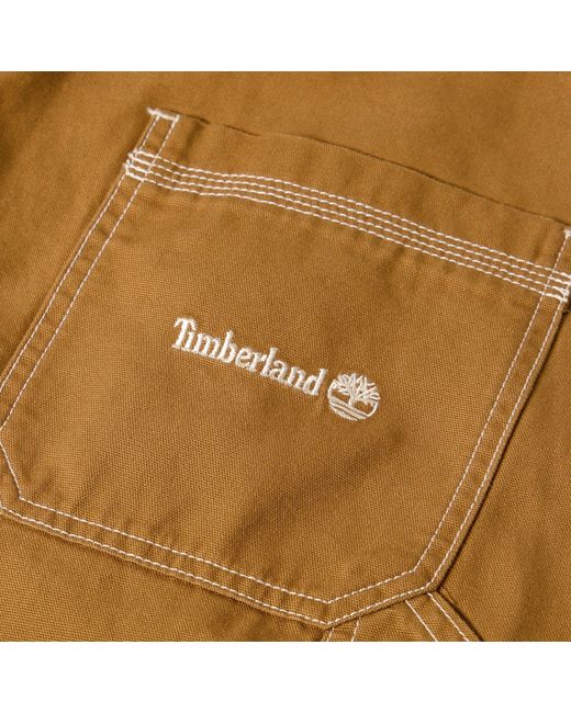 Timberland Brown Canvas Straight Leg Trouser for men