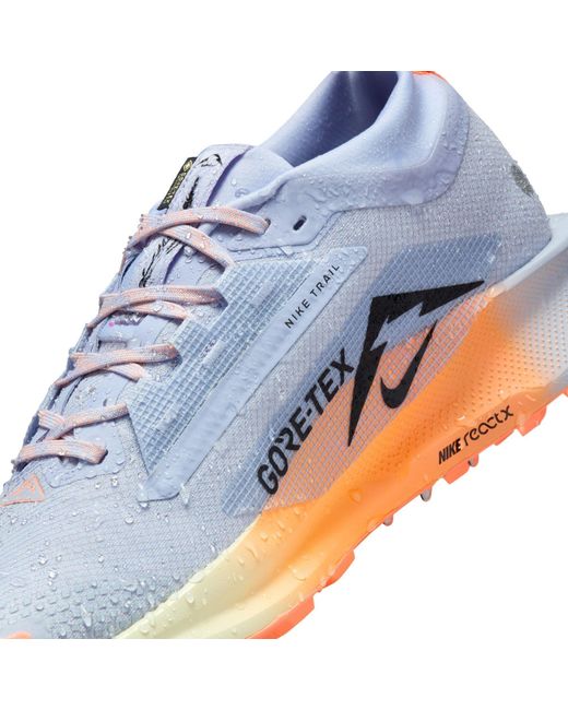 Nike Blue Pegasus Trail 5 Gore-Tex Running Shoes for men