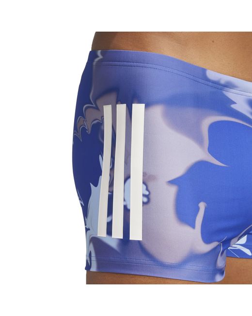 Adidas Blue Graphic Swim Boxers for men