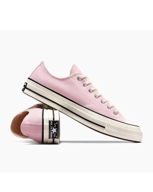 Converse Pink Adults Chuck 70 Canvas Trainers