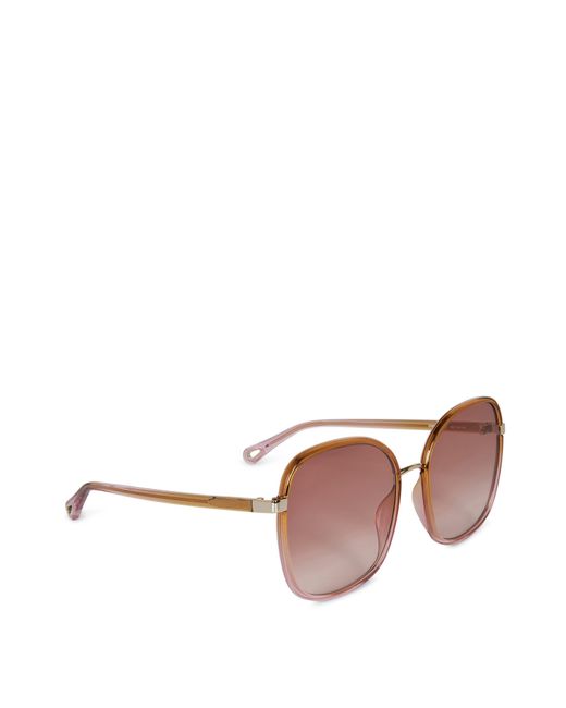 Chloé Brown Sunglasses 31S