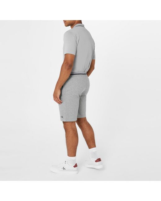 Calvin Klein Gray Broadway Polo for men
