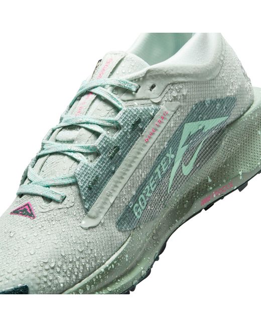 Nike Green Pegasus Trail 5 Gore-Tex Running Shoes for men
