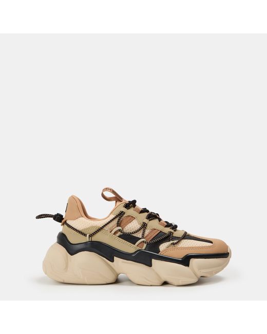 Steve Madden Natural Spectator Low-Top Trainers