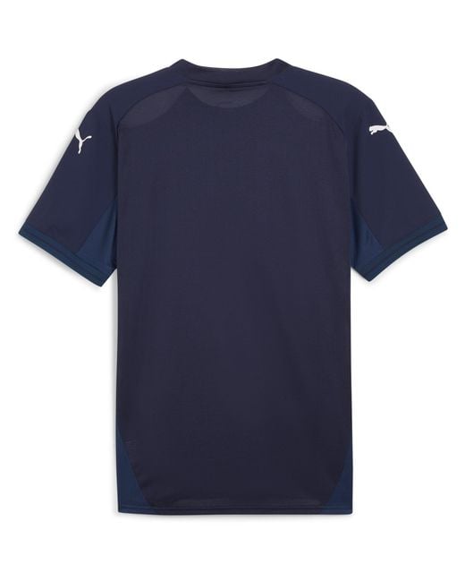 PUMA Blue Teamfinal Jersey T-Shirt for men