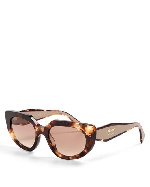 Prada Brown 0Pr D02S Cat Eye Sunglasses