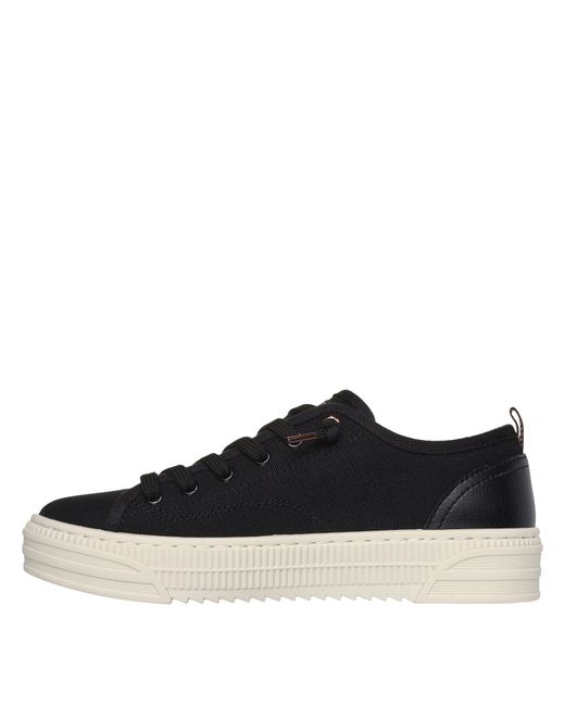 Skechers Blue Bobs Copa Canvas Trainers