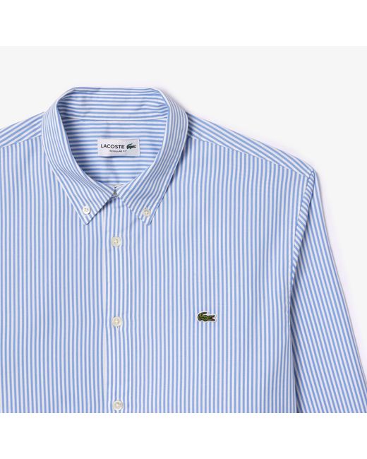 Lacoste Blue Regular-Fit Striped Cotton Shirt for men