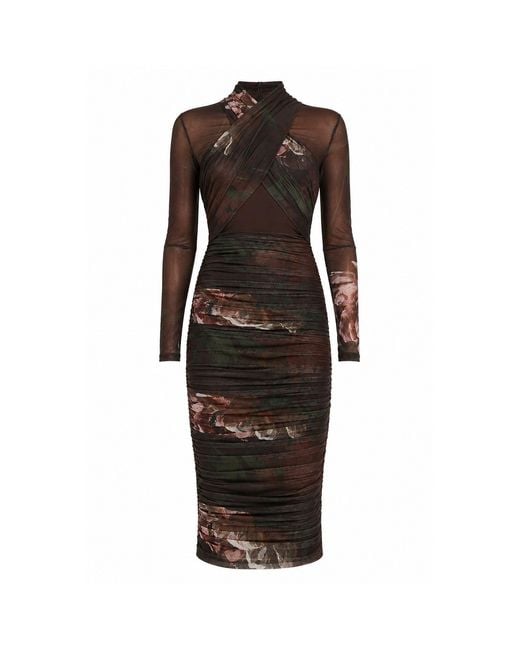 Bardot Brown Bd Aliyah Dress Ld64