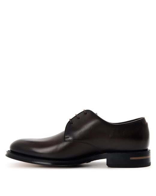 Boss Brown Terry Derby Shoes for men