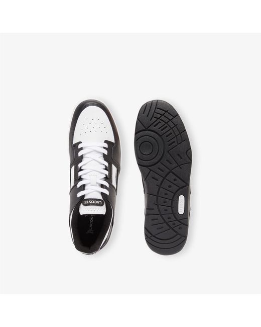 Lacoste Multicolor Court Cage Trainers for men
