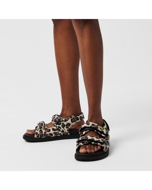 Barbour Black Soules Sandals