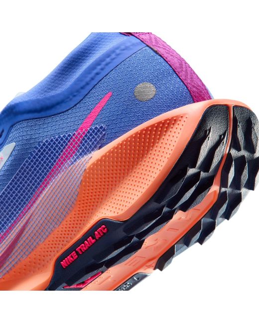 Nike Blue Pegasus Trail 5 Gore-Tex Running Shoes