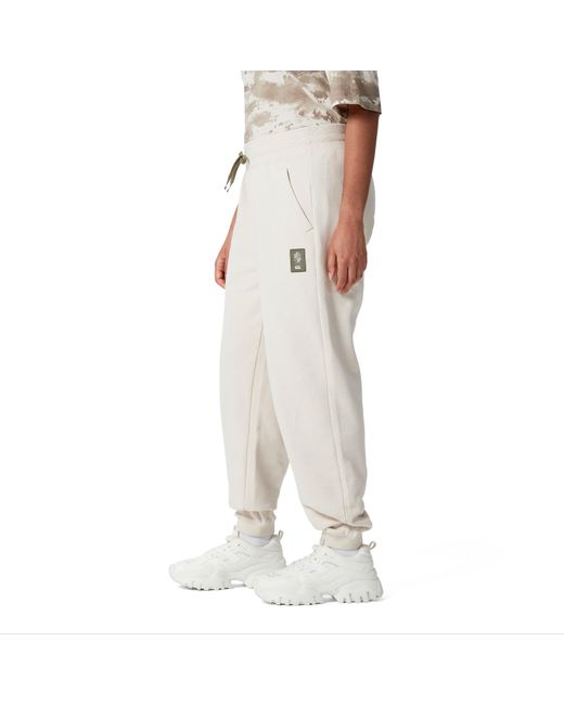 Canterbury Gray British And Irish Lions Outback Tracksuit Bottoms Adults for men