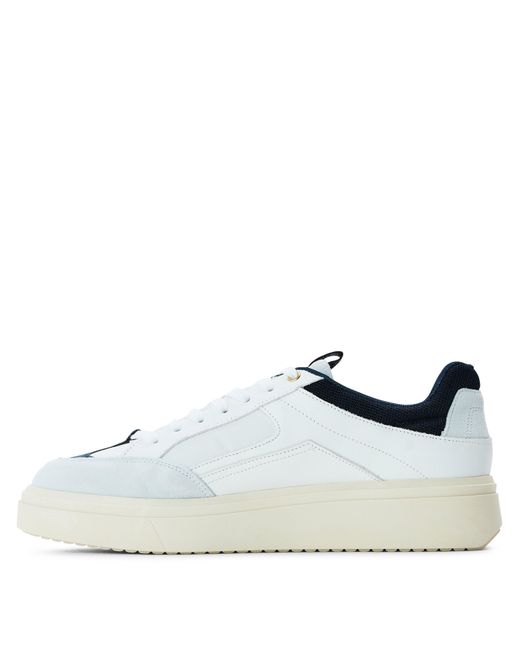 Steve Madden Blue Orlando Low-Top Trainers for men