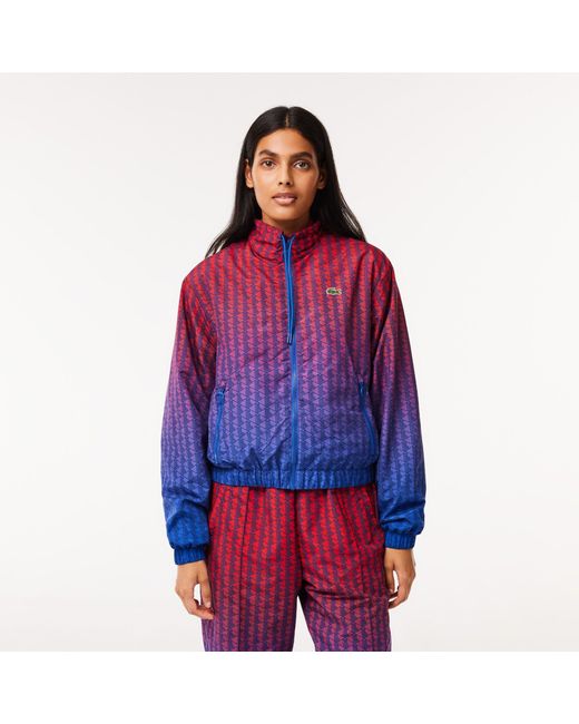 Lacoste Purple Blouson