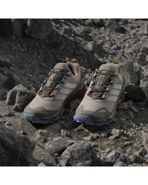Adidas Brown Terrex Skychaser Ax5 Gore-Tex Hiking Shoes