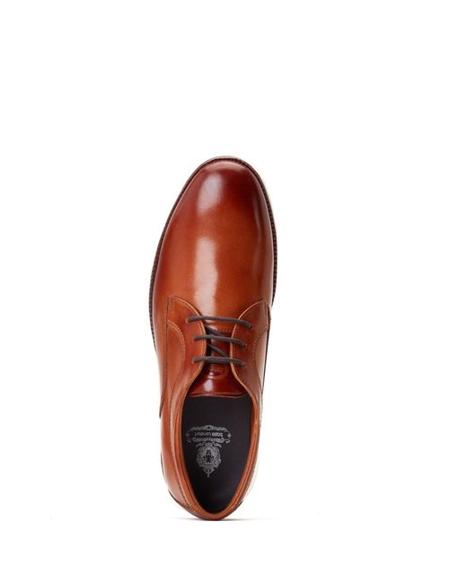 Base London Brown Wing Derby for men