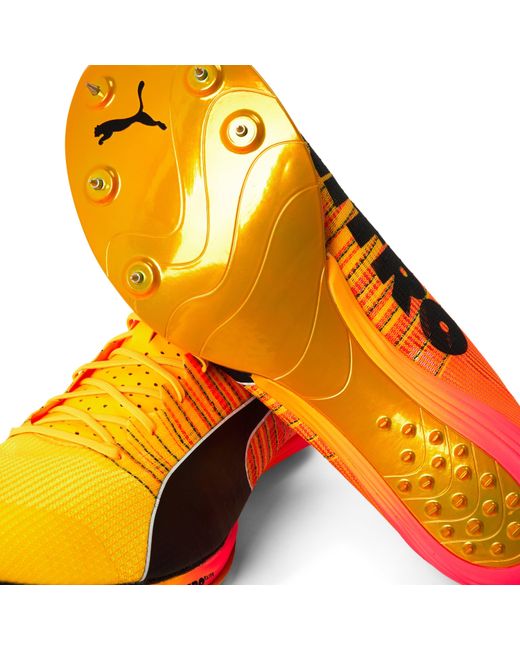 PUMA Orange Evospeed Forte Nitro Elit Track Running Spikes for men