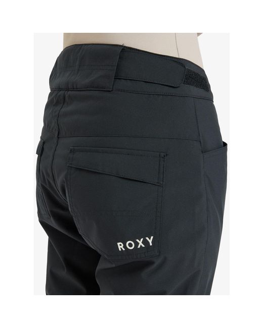 Roxy Blue Backyard Snow Ski Trousers