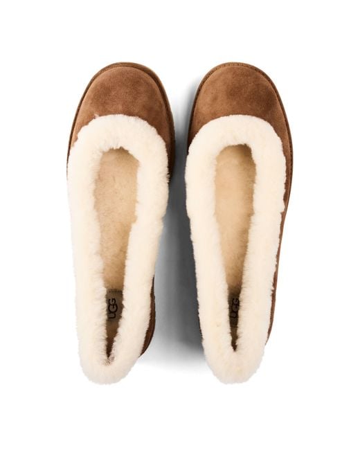 Ugg Brown Zora Ballet Flat Ld64