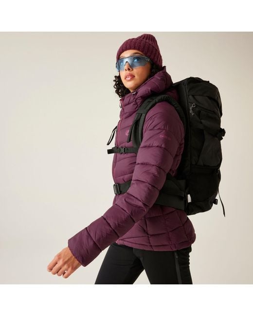 Dare 2b Purple Torrek Baffle Jacket
