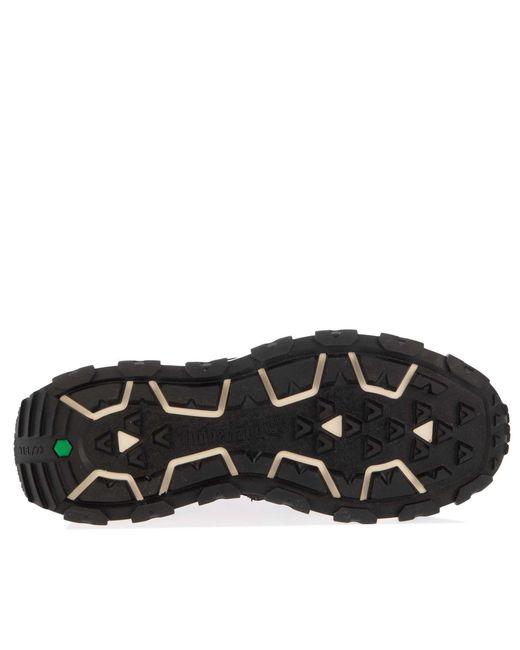 Timberland Brown Winsor Trail Mid Lace Trainers for men