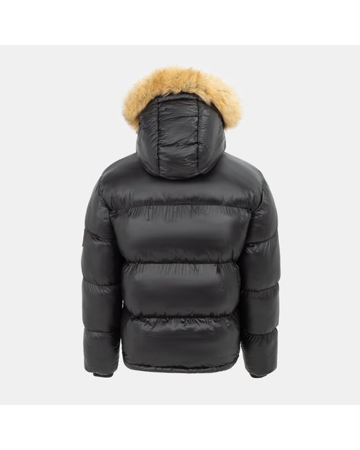 Loyalti Black Shadow Quilted Short Puffer Jacket for men