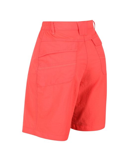 Regatta Red Chaska Ii Shorts
