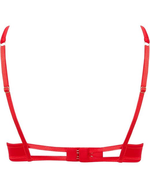 Bluebella Red Cara Bra