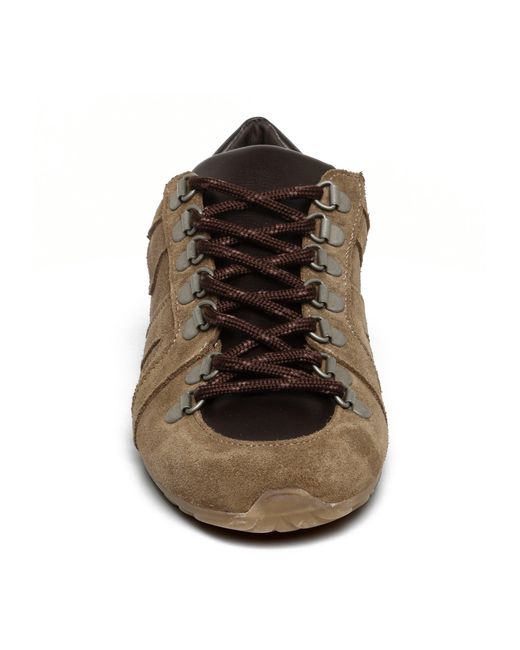 Steve Madden Brown Bless Low-Top Trainers