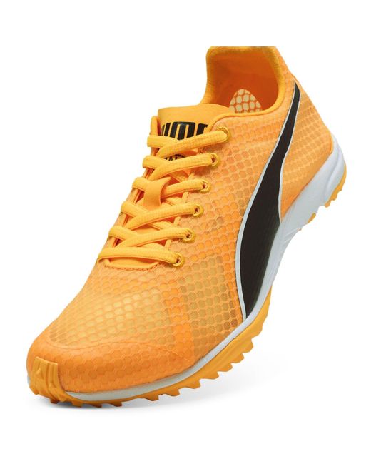 PUMA Orange Evospeed Haraka 8 Off-Road Trail Running Shoes for men