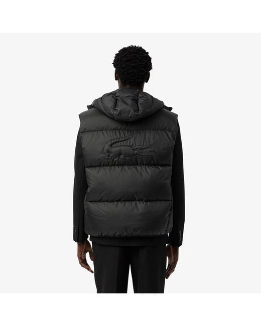 Lacoste Black Gilets for men
