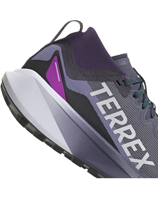 Adidas Blue Terrex Agravic Gtx Trail Running Shoes