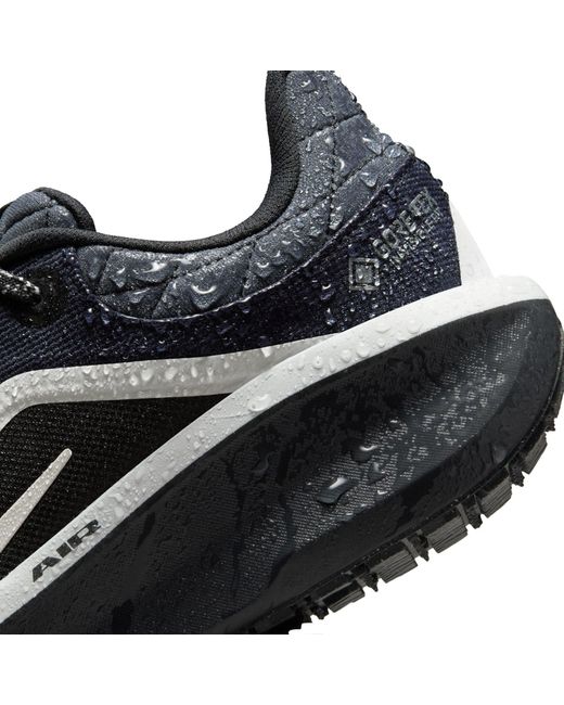 Nike Blue Winflo 11 Gore-Tex Weatherized Road Running Shoes