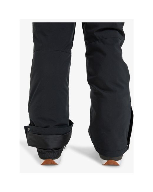 Roxy Blue Backyard Snow Ski Trousers