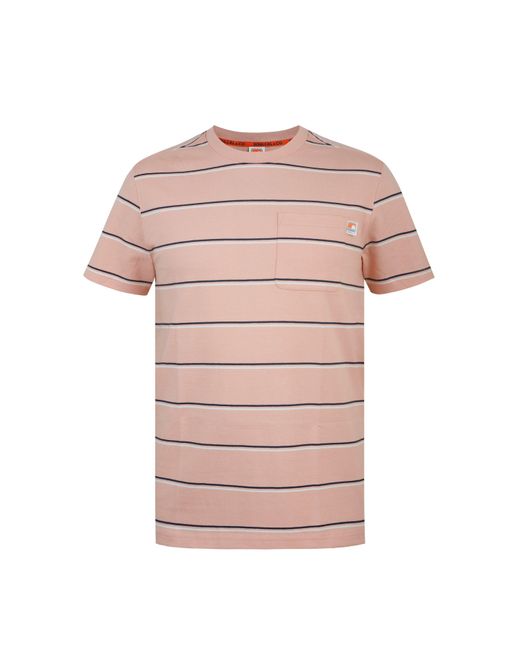 SoulCal & Co California Pink Soul Stripe Regular Fit T-Shirt for men