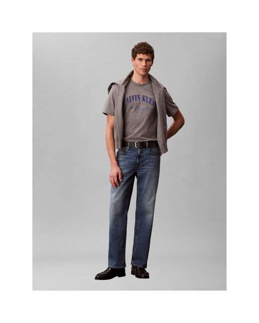 Calvin Klein Gray T-Shirt for men
