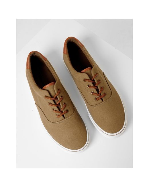 Threadbare Brown Casual Low-Top Trainers for men