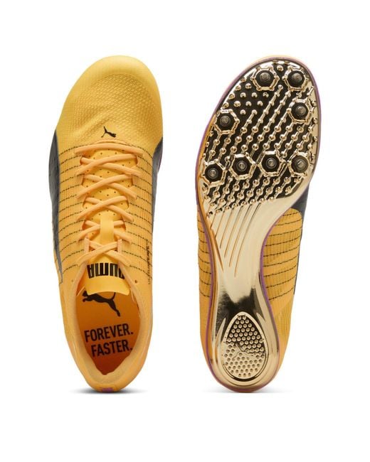 PUMA Yellow Evospeed Brush 6 Track Running Spikes for men