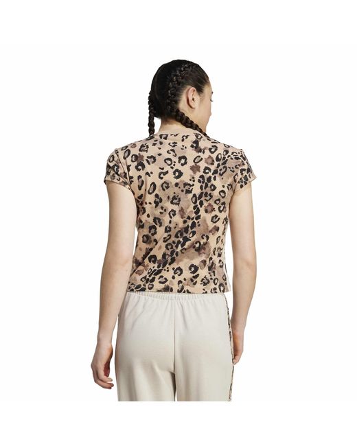 Adidas Multicolor All-Over Print T-Shirt