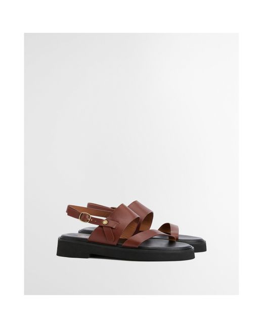 Barbour Brown Dakota Sandal