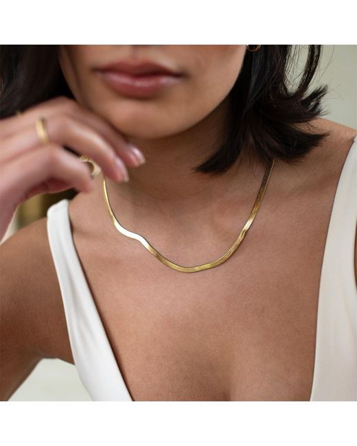 D.Louise Metallic Snake Chain Necklace